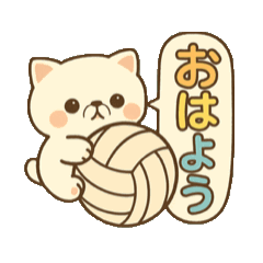 Tiny Cat on Volleyball