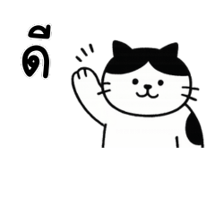 แมวน้อยน่ารักสายชิลล์ เหมาะกับวันเบาๆ