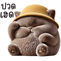 มะขาม แมวอ้วนหมวกน่ารัก1