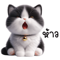 ลูกแมวน้อยสีขาวดำ กระดิ่งทอง