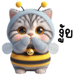 ลูกแมวบี น่ารัก ตัวตึง