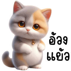แมวสามสีหน้ากลม กระดิ่งทอง ตัวตึง