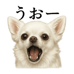 MINA_20250517194800 – LINE stickers | LINE STORE