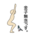 Yoga, pigeons and kaneko