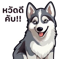 ไซบีเรียน ฮัสกี น่ารัก 01