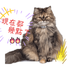 Ching_20250517150521 - LINE スタンプ | LINE STORE