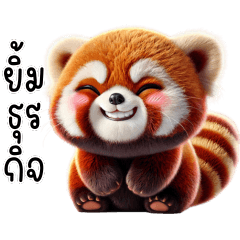 แพนด้าแดง น่ารักมาก