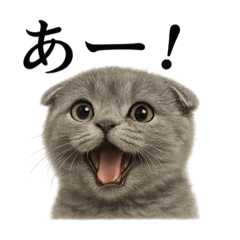 MINA_20250517210545 – LINE stickers | LINE STORE