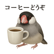 MINA_20250518173635