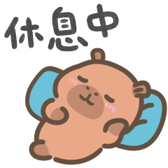 卡皮巴拉肉咪❤️我沒有在偷懶唷