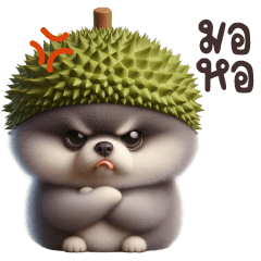 ปอมเทาหัวทุเรียนน่าร้าก