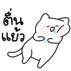 สโนว์มาทักทาย (Snow Says Hi!)