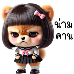 ปอมจัง หมาน่ารัก