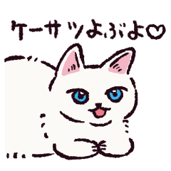 White Cat!!?