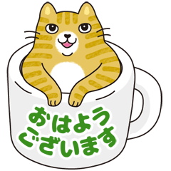 Polite and mature cat animation sticker