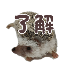 ohagi_20250516181050