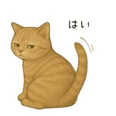 Unmotivated Cat: Not Trying.