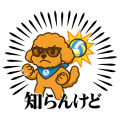 ritoeito_20250516194910