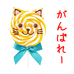 Cat lollipop delivers a message.