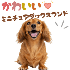 いつでも使えるミニチュアダックスフンド