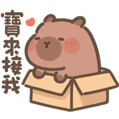 豚豚布丁♡給我的寶(Q水豚日常心動)