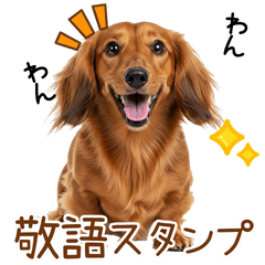 敬語のミニチュアダックスフンド