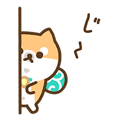 柴犬たけちよの日常