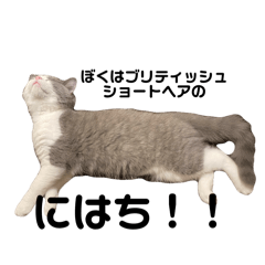 Ryusei Ono_20250517115011