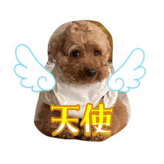 eririn_20250517133608