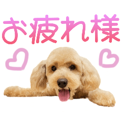 Akane_20250517141703