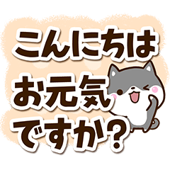 Chibi Kuro Shiba49
