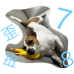 BellaChen_20250517174617