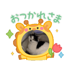 yuki_20250517210817