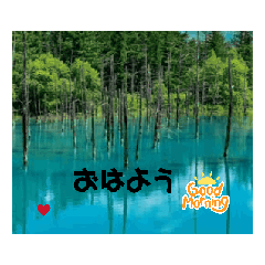 ringo_202505172115