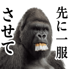 Yanicas the tobacco-loving reply gorilla