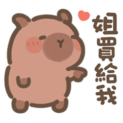 小豚布丁♡給姐姐(Q水豚家人篇)
