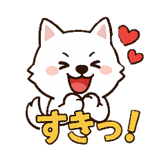 もふもふ　感情豊かな白い北海道犬　気持篇