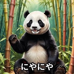 Expressive Panda Stickers