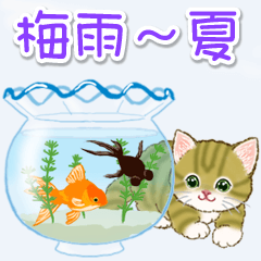 Kitten and kitten in the rainy season