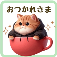 Fat round cat in black hoodie