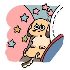 My family's short-legged dog