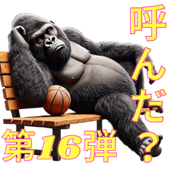Gorilla x Basketball Vol. 16