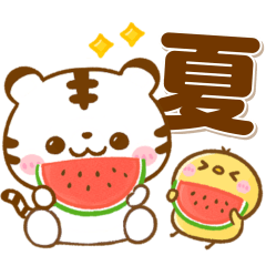 梅雨〜夏に役立つ♡ホワイトタイガー