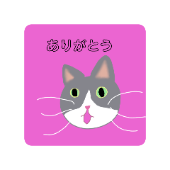 いも家の猫たち