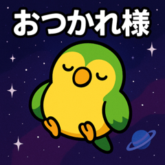 Parakeet Space Journey@SFW