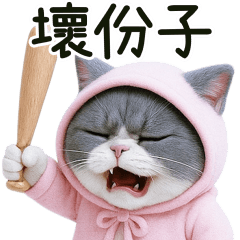 Unhappy cat 2