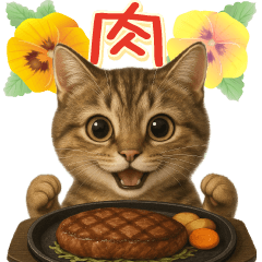 Real cat Everyday items for your family