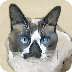 水彩画シャムミックス_01