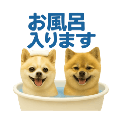 hayato_20250518221338