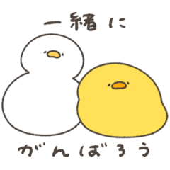 ahiruenkyori